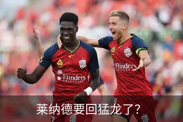 莱纳德要回猛龙了？